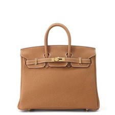 Hermès Birkin Hermès Birkin 25cm Togo luxury bag
